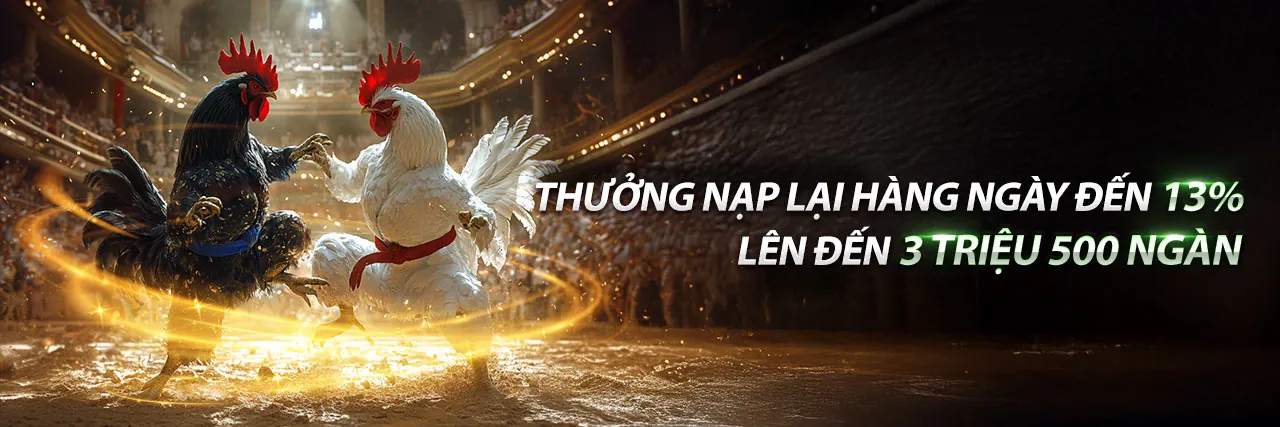 Cá cược trực tiếp tại HL88 Login